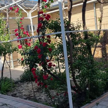 Hostel Muborak Самарканд Екстериор снимка