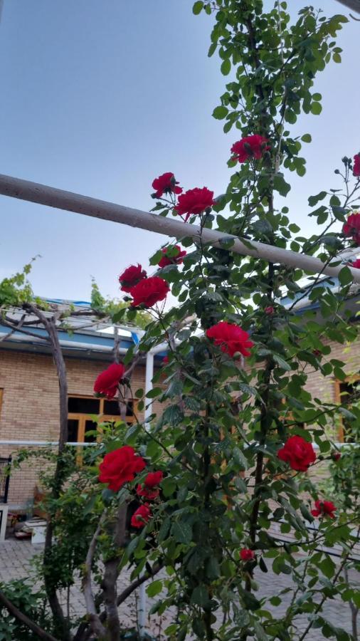 Hostel Muborak Самарканд Екстериор снимка