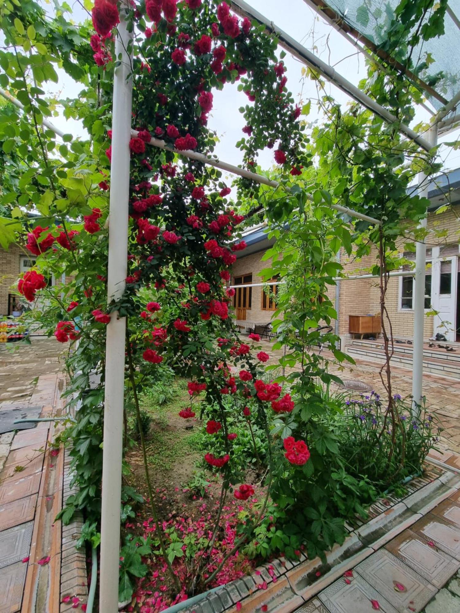 Hostel Muborak Самарканд Екстериор снимка