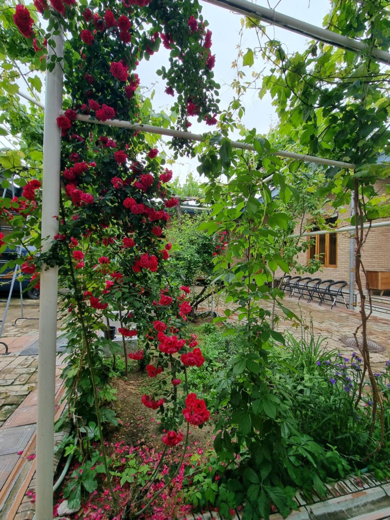 Hostel Muborak Самарканд Екстериор снимка